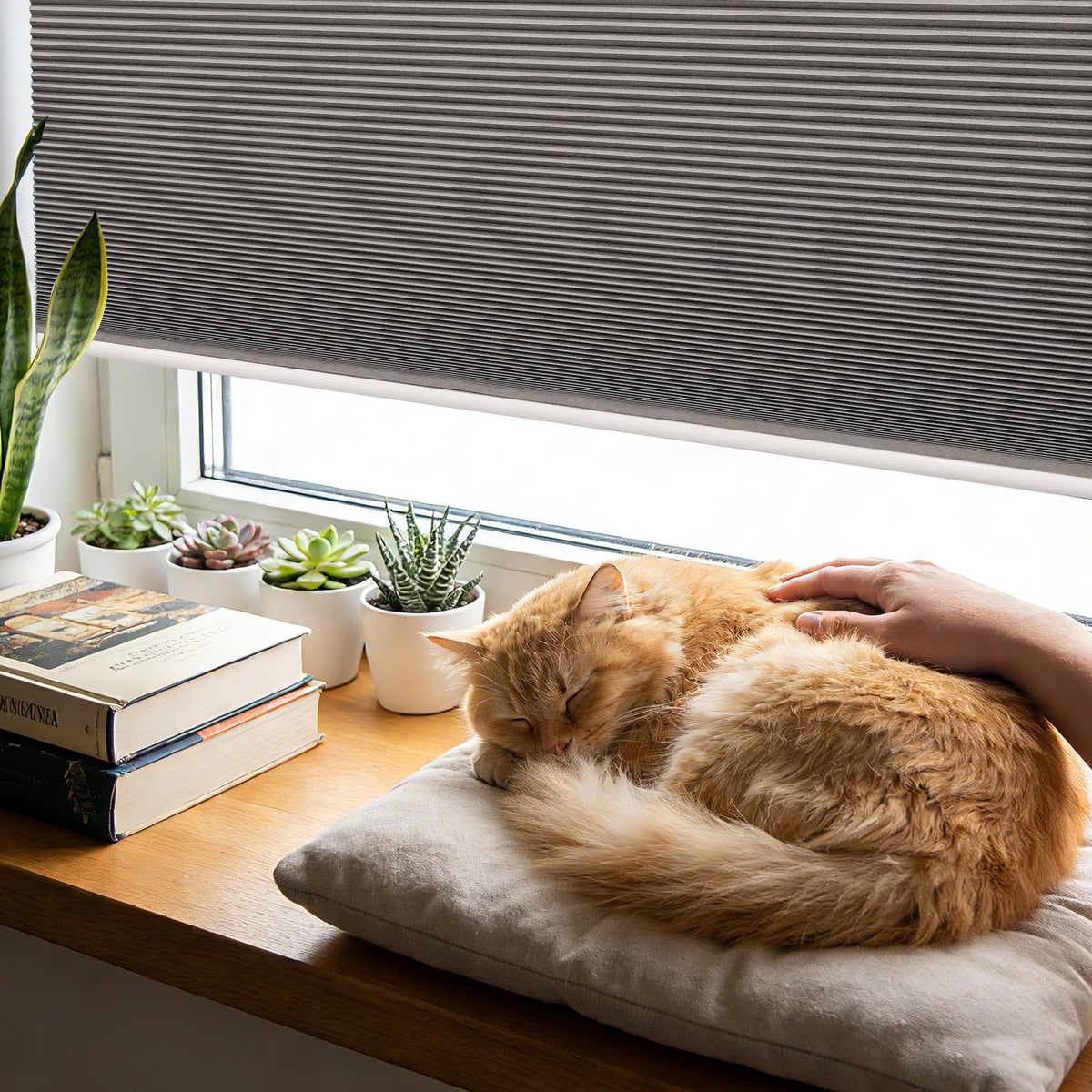 No-Drill Cordless Cellular Shades